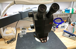 高い技術レベルの歯科技工所との連携